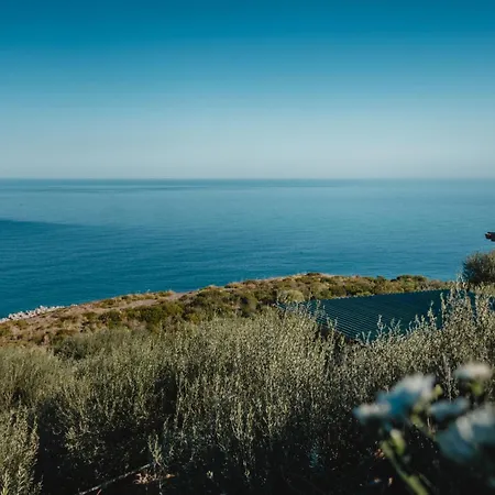 Mareblu