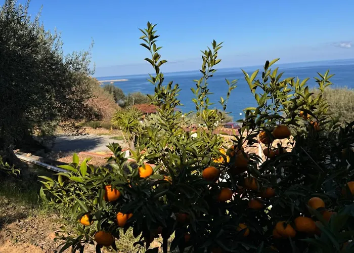 Mareblu 3* צ'פאלו